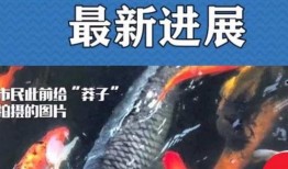 最新偷鱼爆料新闻报道图片,现场图片曝光，警方介入调查！”